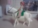 Princ a Vanesa