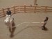 IMG_0267.JPG